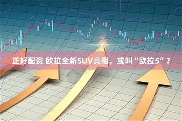 正好配资 欧拉全新SUV亮相，或叫“欧拉5”？