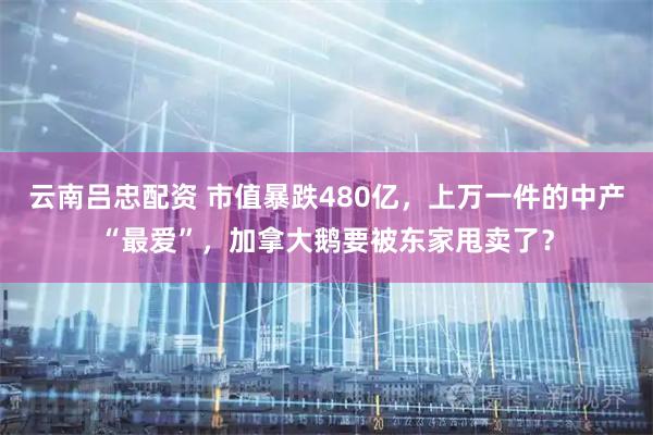 云南吕忠配资 市值暴跌480亿，上万一件的中产“最爱”，加拿大鹅要被东家甩卖了？