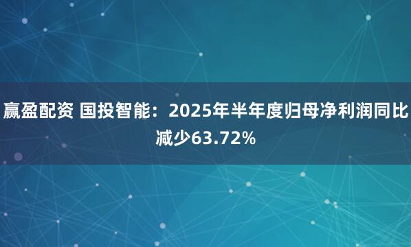 赢盈配资 国投智能：2025年半年度归母净利润同比减少63.72%